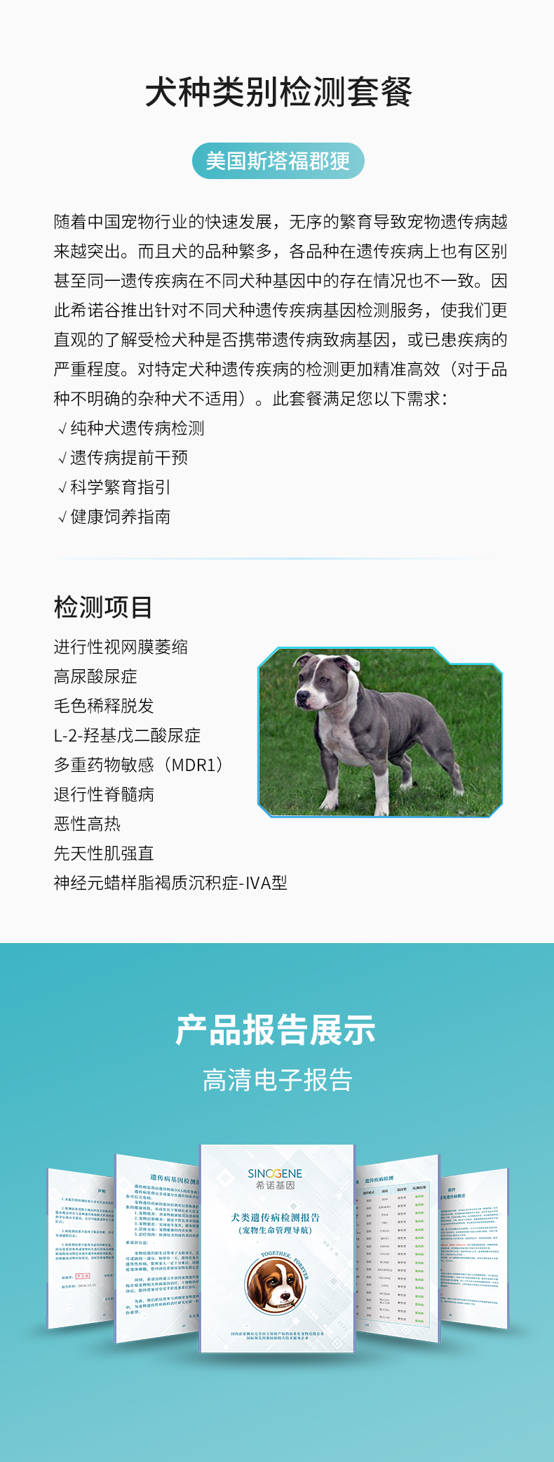 美國斯塔?？?.jpg