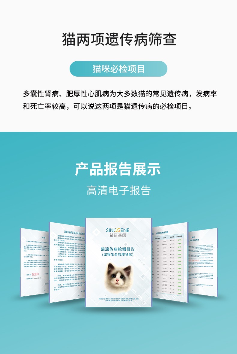 1554712625757359.jpg 貓兩項(xiàng).jpg
